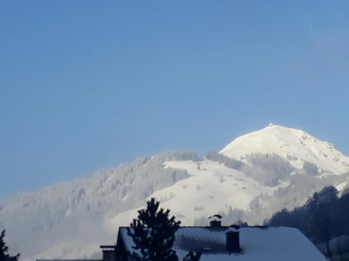 Haus Erika Apartment Brixen im Thale Luaran gambar