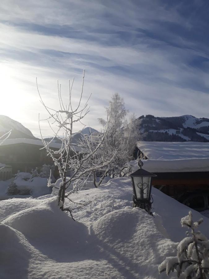 Haus Erika Apartment Brixen im Thale Luaran gambar